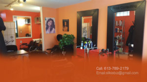 The present look of Silkie Locks Hair Design