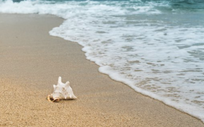 Is Ocean Water Bad For Your Hair?