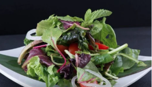 A green salad served on a white plate.