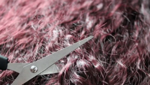 A pair or scissors cutting burgundy, curly hair.