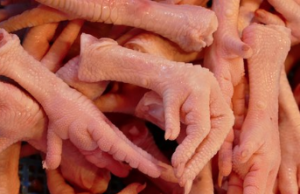 A lot of stripped chicken feet.