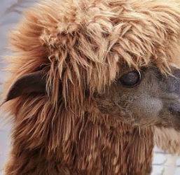 Why Getting A Haircut Is So Important