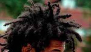 A head of black free form locs.