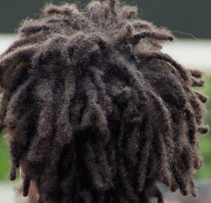 Short, dark brown dreads/locs on 4C hair.