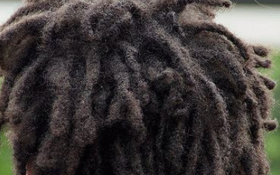 Coming In From The Cold – Freeform Locs
