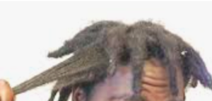 Image of a dread on super curly hair that has been combed out.