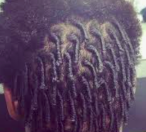 The back view of twisted starter locs on dark-brown super curly hair.