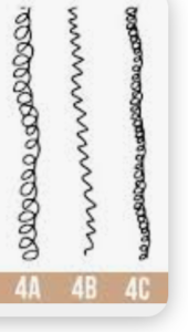 Diagram comparing 4A, 4B and 4C hair curl patterns