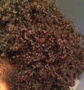 Super curly natural 4C hair in red violet colour.