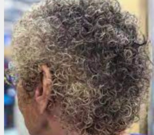 A head of short, gray, permed hair.