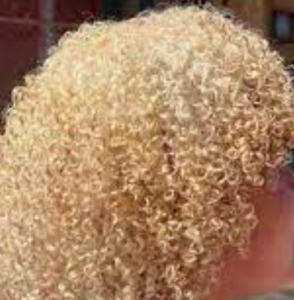 Close up of permed blond hair.
