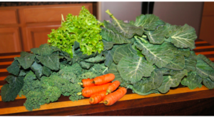 Bunches of green, leafy vegetables and carrots.