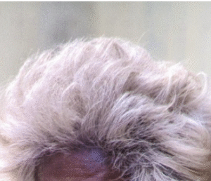 Thick, white-gray and short wavy hair.