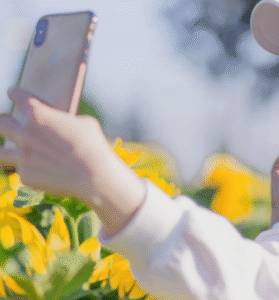 Hand of a female taking a selfie among yellow flowers.