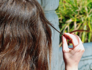A woman pulling a single strand from her long brown hair