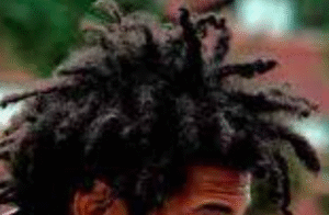 Dark brown dreads/locs in the locking stage.