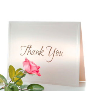 A Thank You card in gold script standing upright beside a pink rose