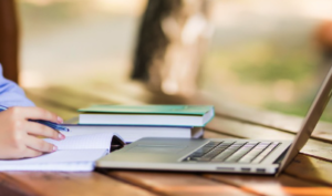 A hand with a pen in front of a computer with some books beside them.