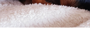 A white fluffy blanket.