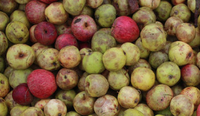 Does Apple Cider Vinegar Get Rid Of Buildup In Hair