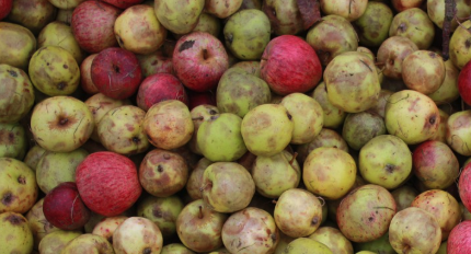 Does Apple Cider Vinegar Get Rid Of Buildup In Hair