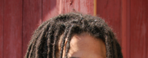 Dark brown dreadlocks before retwisting.