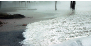Sea foam washing over a shoreline in cold grey light