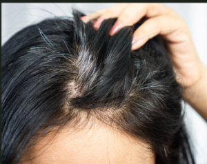 A hand pulling on black hair revealing gray roots.