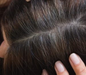 A hand spreading dark brown hair to reveal gray roots.