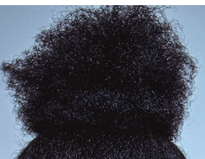 A big ponytail on a person with 4C hair.