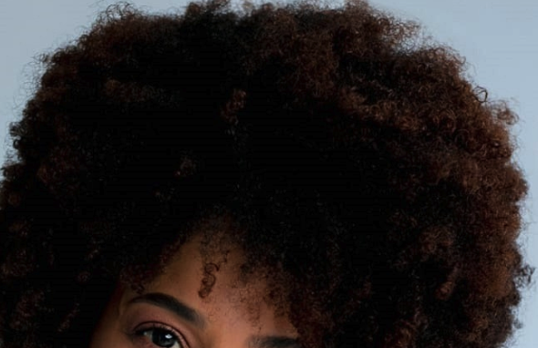 A thick, darkest-brown afro hairstyle.