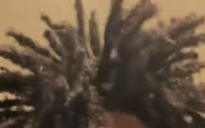 How Do You Freeform Dreadlocks
